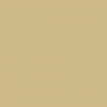 Green Beige RAL1000